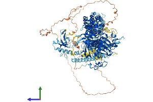 AlphaFold protein structure predicition of Mouse Recombinant Msh6 Protein, UniprotID P54276 (MSH6 Protein (AA 1-1358) (His tag))