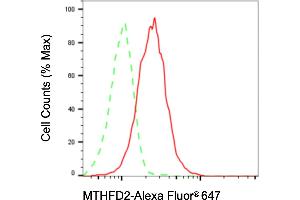 anti-Methylenetetrahydrofolate Dehydrogenase (NADP+ Dependent) 2, Methenyltetrahydrofolate Cyclohydrolase (MTHFD2) antibody