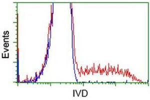 HEK293T cells transfected with either RC201077 overexpress plasmid (Red) or empty vector control plasmid (Blue) were immunostained by anti-IVD antibody (ABIN2453186), and then analyzed by flow cytometry. (IVD antibody)