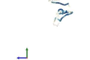 AlphaFold protein structure predicition of Human Recombinant CCDC170 Protein, UniprotID Q8IYT3