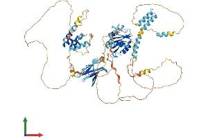 AlphaFold protein structure predicition of Human Recombinant BANK1 Protein, UniprotID Q8NDB2 (BANK1 Protein (AA 1-785) (His tag))