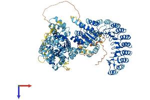 AlphaFold protein structure predicition of Human Recombinant NLRP13 Protein, UniprotID Q86W25