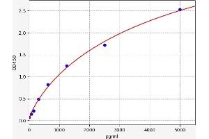 Typical standard curve (Bassoon ELISA Kit)