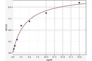 Typical standard curve (BAT3 ELISA Kit)