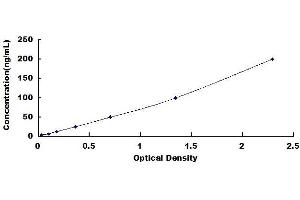 Vinculin (VCL) ELISA Kit