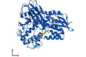 AlphaFold protein structure predicition of Human Recombinant PPOX Protein, UniprotID P50336