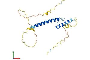 AlphaFold protein structure predicition of Mouse Recombinant Tcf21 Protein, UniprotID O35437 (TCF21 Protein (AA 1-179) (His tag))