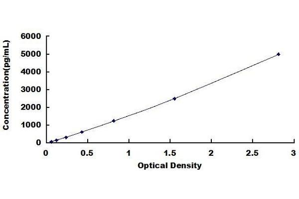 CPM ELISA Kit