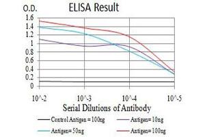 Black line: Control Antigen (100 ng),Purple line: Antigen (10 ng), Blue line: Antigen (50 ng), Red line:Antigen (100 ng) (GRM7 antibody  (AA 454-590))