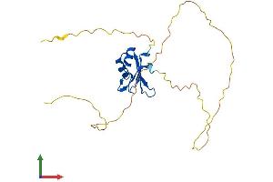 AlphaFold protein structure predicition of Mouse Recombinant Rbm38 Protein, UniprotID Q62176 (RBM38 Protein (AA 1-237) (His tag))