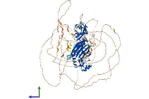AlphaFold protein structure predicition of Mouse Recombinant Inpp5j Protein, UniprotID P59644 (INPP5J Protein (AA 1-1003) (His tag))