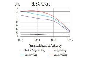Black line: Control Antigen (100 ng),Purple line: Antigen (10 ng), Blue line: Antigen (50 ng), Red line:Antigen (100 ng) (LAIR1 antibody  (AA 22-165))