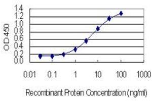 Detection limit for recombinant GST tagged MMP3 is 0. (MMP3 antibody  (AA 22-131))