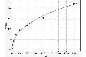 Typical standard curve (SYN1 ELISA Kit)