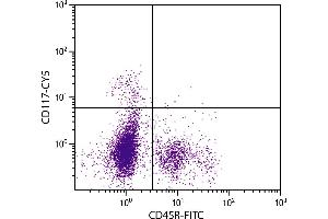 BALB/c mouse bone marrow cells were stained with Rat Anti-Mouse CD117-CY5. (KIT antibody  (Cy5))