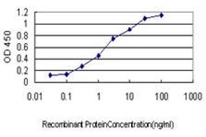Detection limit for recombinant GST tagged TNFRSF10A is approximately 0. (TNFRSF10A antibody  (AA 105-204))