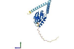 AlphaFold protein structure predicition of Mouse Recombinant Txndc9 Protein, UniprotID Q9CQ79 (TXNDC9 Protein (AA 1-226) (His tag))