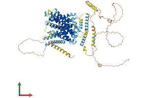 AlphaFold protein structure predicition of Mouse Recombinant Slc9a4 Protein, UniprotID Q8BUE1