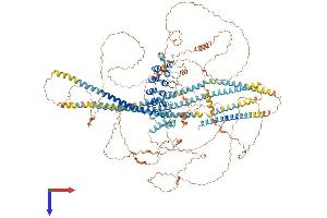 AlphaFold protein structure predicition of Human Recombinant ANKRD30B Protein, UniprotID Q9BXX2 (ANKRD30B Protein (AA 1-1392) (His tag))