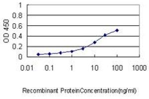 Detection limit for recombinant GST tagged CCT7 is approximately 0. (CCT7 antibody  (AA 425-528))