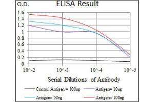 ELISA image for anti-Tubulin, beta 2A (TUBB2A) (AA 25-187) antibody (ABIN1846607) (TUBB2A antibody  (AA 25-187))