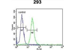 Flow cytometric analysis of 293 cells using LMBR1L Antibody (C-term) Cat. (LMBR1L antibody  (C-Term))