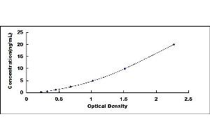 Typical standard curve (QSOX1 ELISA Kit)