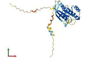 Protein Structure (PS) image for RAS-Like, Family 11, Member A (RASL11A) (AA 1-242) protein (His tag) (ABIN7551577)