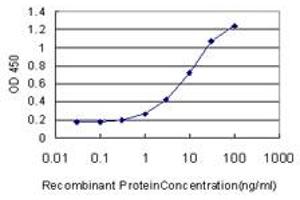 Detection limit for recombinant GST tagged GGPS1 is approximately 0. (GGPS1 antibody  (AA 201-300))