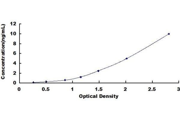 POLD1 ELISA Kit