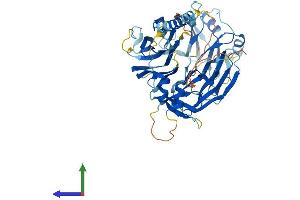 Protein Structure (PS) image for Integrin alpha FG-GAP Repeat Containing 3 (ITFG3) (AA 1-555) protein (His tag) (ABIN7559094)