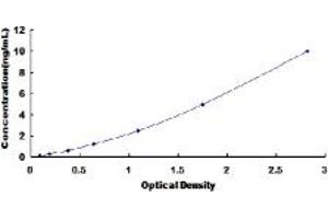 Typical standard curve (ICAM2 ELISA Kit)