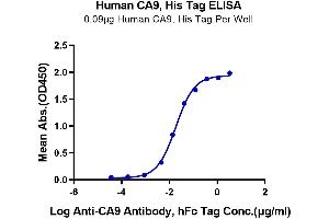 Immobilized Human CA9, His Tag at 0. (CA9 Protein (AA 38-414) (His-Avi Tag))