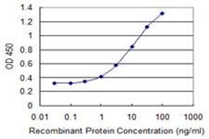 Detection limit for recombinant GST tagged WDR13 is 0. (WDR13 antibody  (AA 391-484))