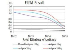 ELISA image for anti-PMS2 Postmeiotic Segregation Increased 2 (S. Cerevisiae) (PMS2) (AA 748-851) antibody (ABIN5542596)