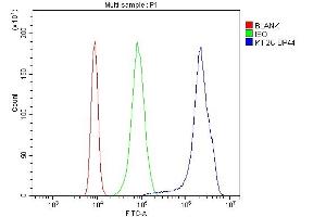 Flow Cytometry analysis of K562 cells using anti-MCAK antibody (ABIN3043278). (KIF2C antibody  (AA 531-725))