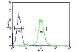 Flow Cytometry (FACS) image for anti-X-Ray Repair Complementing Defective Repair in Chinese Hamster Cells 6 (XRCC6) (AA 228-254) antibody (ABIN3029656)