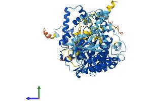 AlphaFold protein structure predicition of Mouse Recombinant Cmtr2 Protein, UniprotID Q8BWQ4