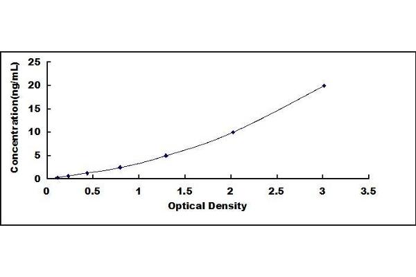 PGAM1 ELISA Kit