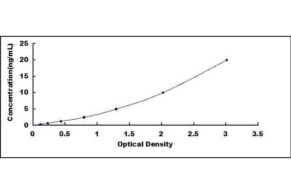 PGAM1 ELISA Kit