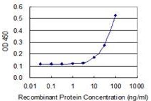 anti-LOC220594 (AA 255-354) antibody