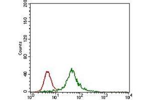 Flow cytometric analysis of HEK293 cells using ZFP42 mouse mAb (green) and negative control (red). (ZFP42 antibody  (AA 249-310))