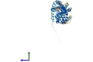 AlphaFold protein structure predicition of Human Recombinant BFAR Protein, UniprotID Q9NZS9