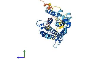 AlphaFold protein structure predicition of Mouse Recombinant Srd5a3 Protein, UniprotID Q9WUP4