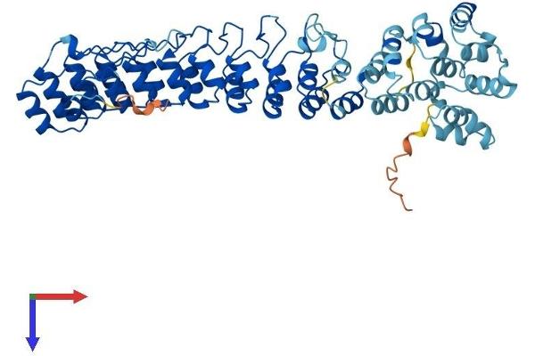ASB3 Protein (AA 1-525) (His tag)