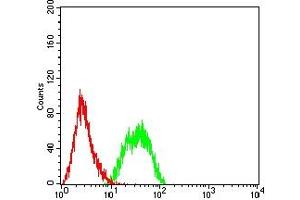 Flow Cytometry (FACS) image for anti-Tumor Necrosis Factor Receptor Superfamily, Member 13B (TNFRSF13B) antibody (ABIN7193609)