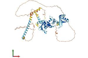 AlphaFold protein structure predicition of Mouse Recombinant Puf60 Protein, UniprotID Q3UEB3