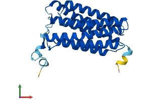 AlphaFold protein structure predicition of Mouse Recombinant Mmd2 Protein, UniprotID Q8R189