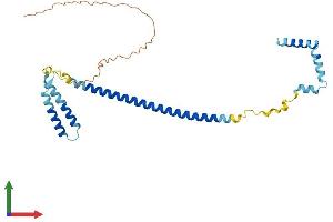 Protein Structure (PS) image for Centromere Protein Q (CENPQ) (AA 1-268) protein (His tag) (ABIN7553235)