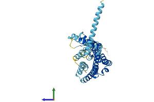 AlphaFold protein structure predicition of Human Recombinant OR6S1 Protein, UniprotID Q8NH40 (OR6S1 Protein (AA 1-331) (His tag))